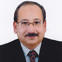 Assoc. Prof. Dr. Saidatulakmal Mohd