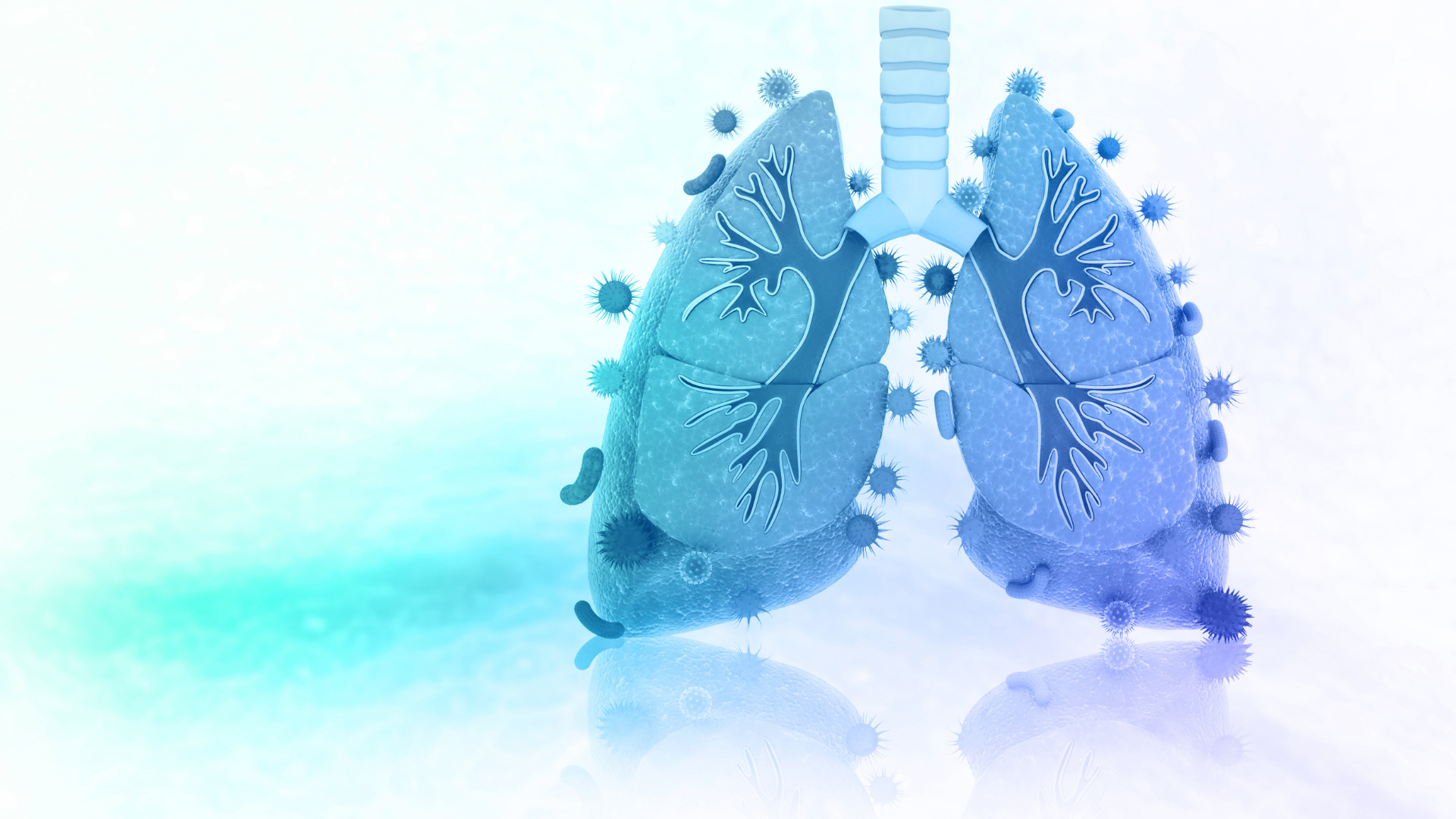 Plover & Page Background